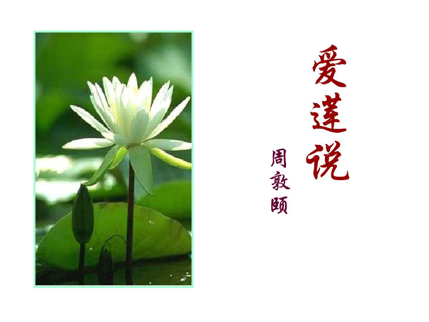 爱莲说