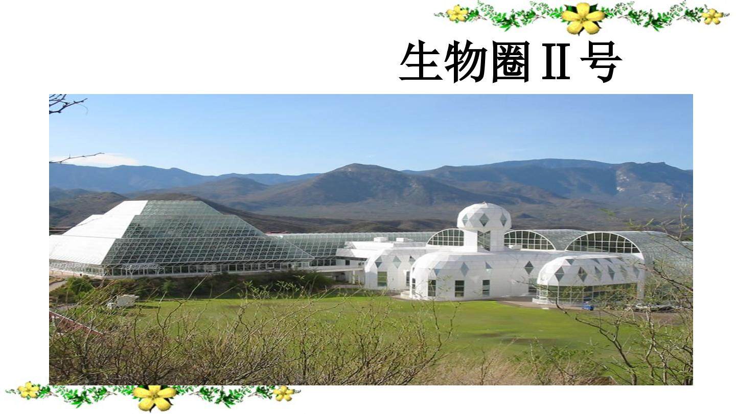 生态系统的稳定性