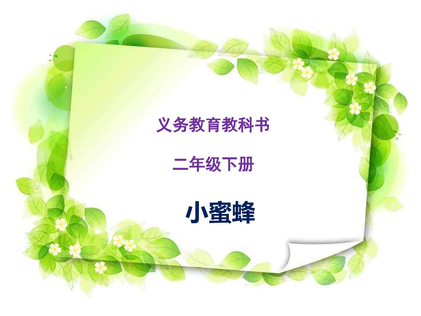 小蜜蜂