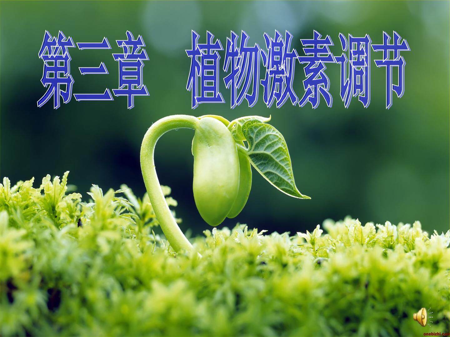 植物激素调节