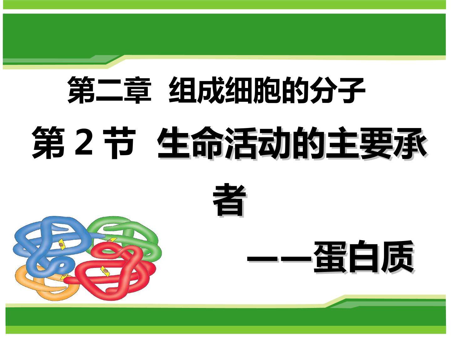生命活动的主要承担者----蛋白质