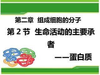 生命活动的主要承担者----蛋白质