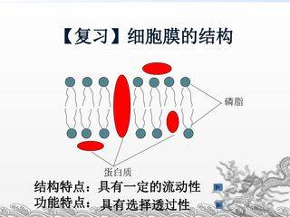 物质跨膜运输的方式
