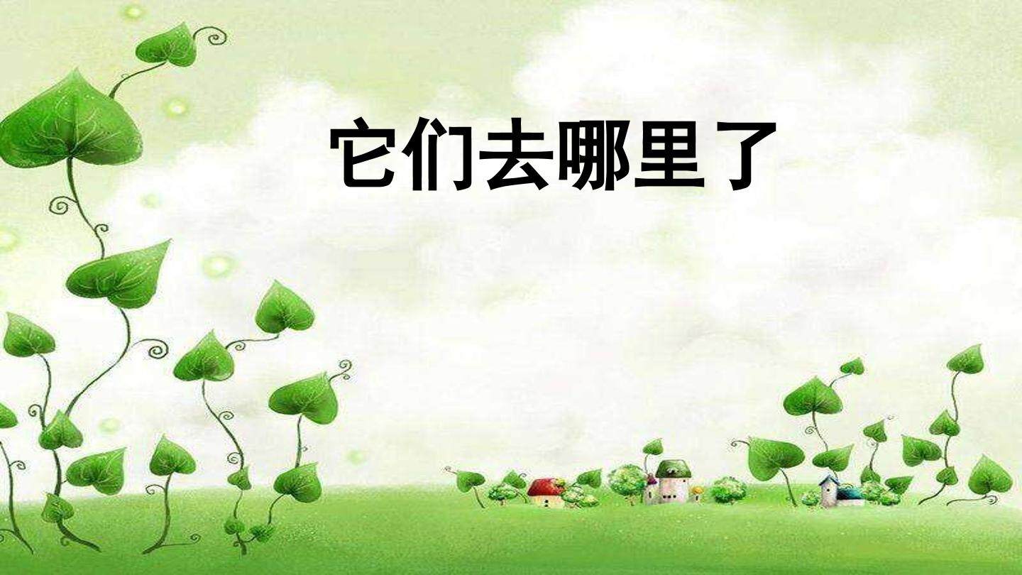 它们去哪里了