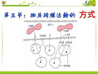 物质跨膜运输的方式