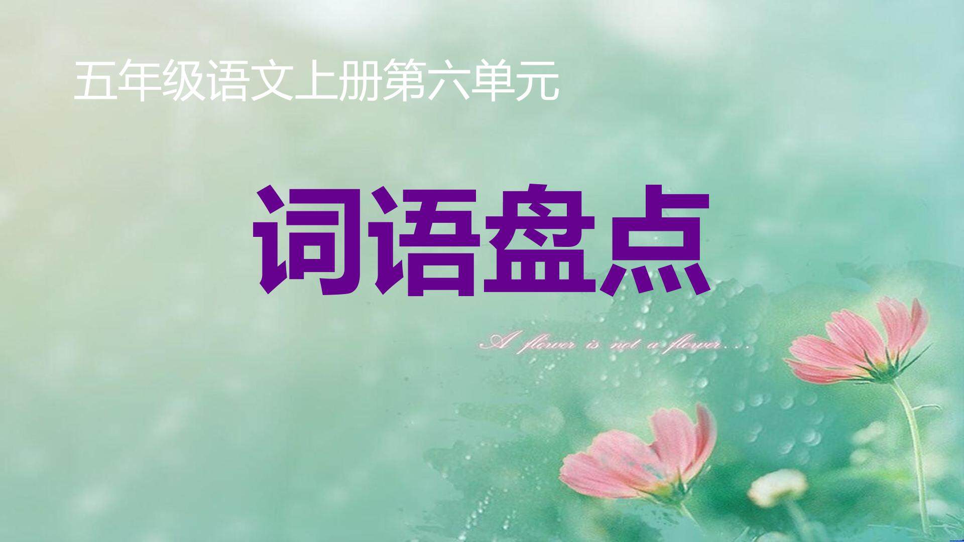 《词语盘点》