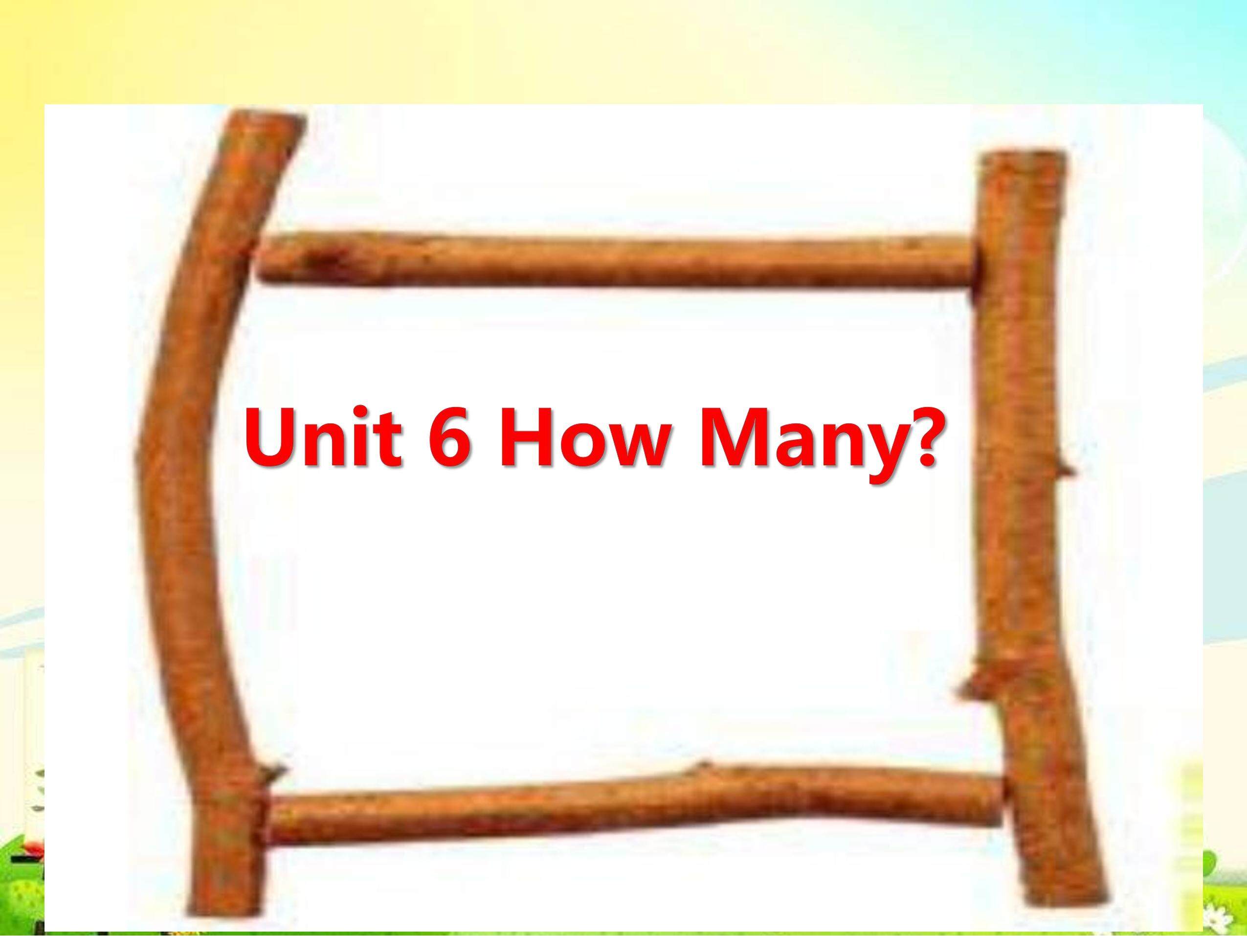 Unit 6 How many？