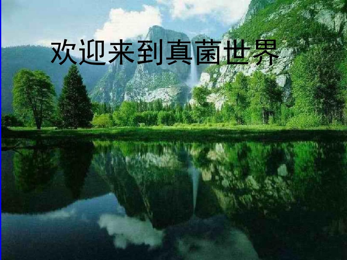 生物课件