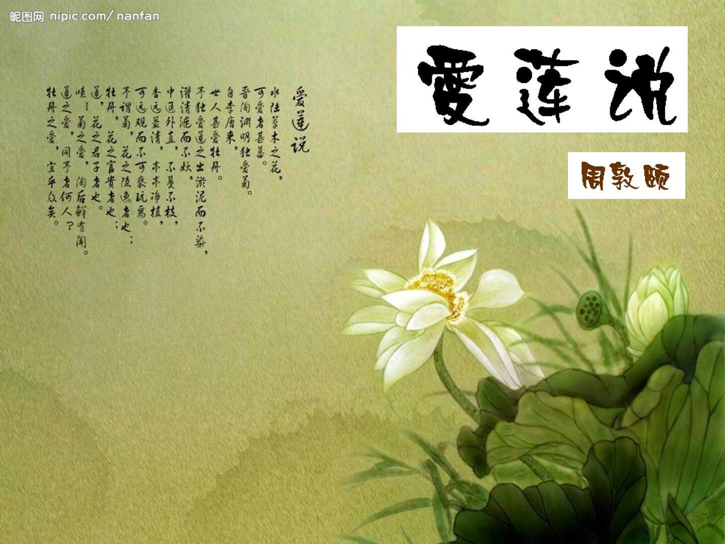 爱莲说