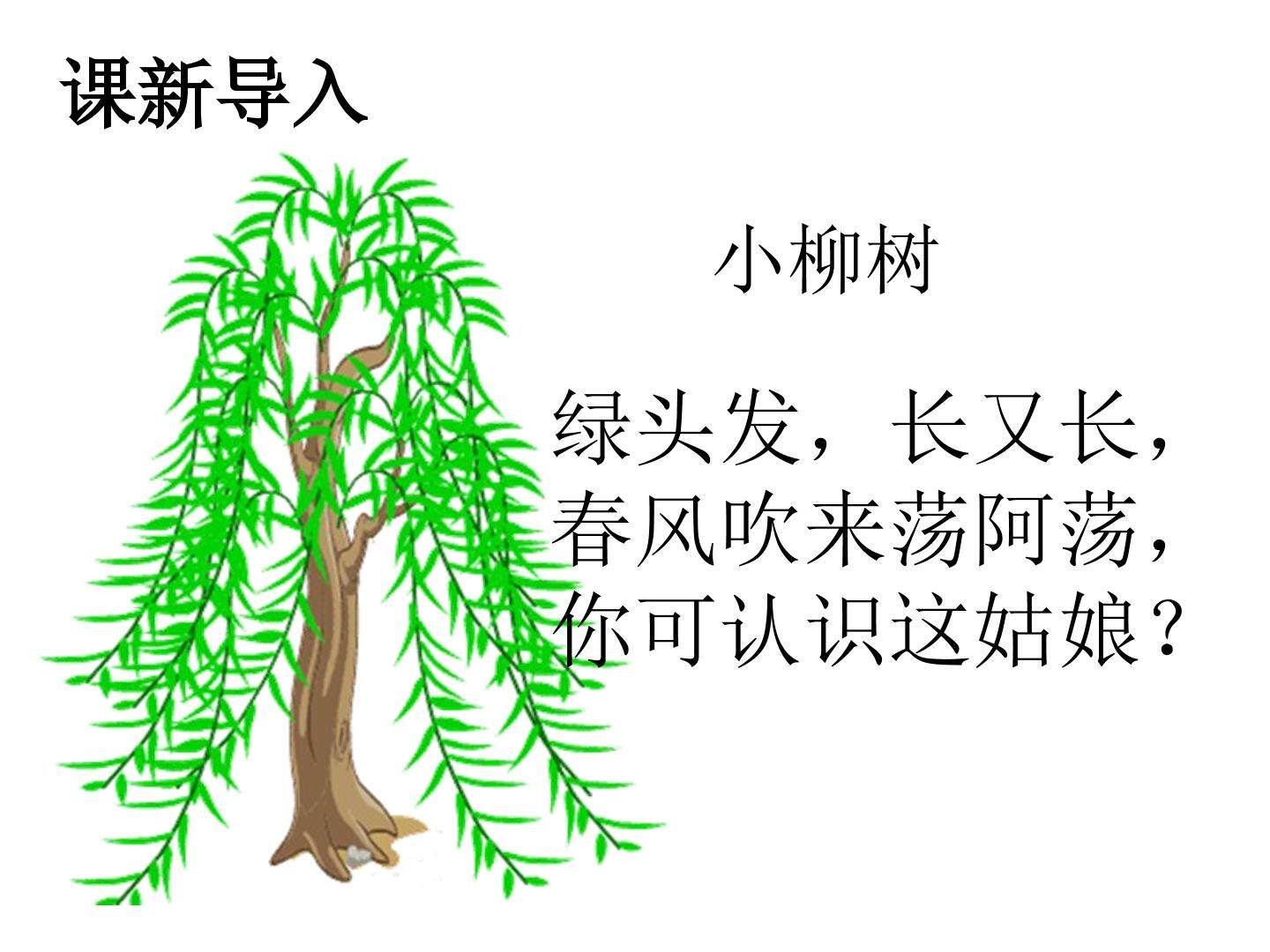 《咏柳》教学课件