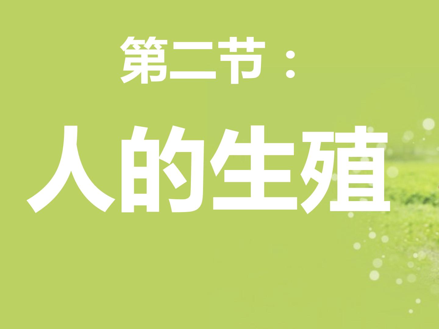 人的生殖