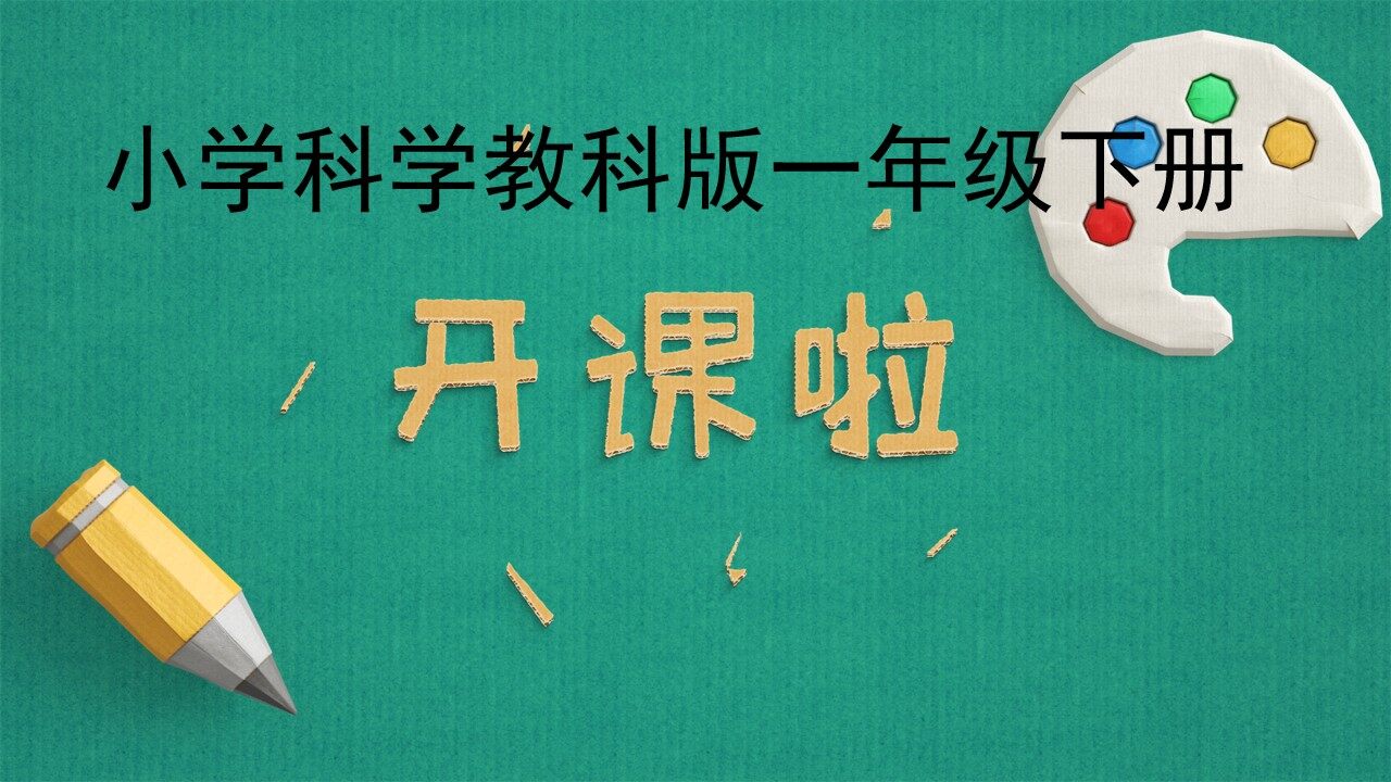 它们去哪里了