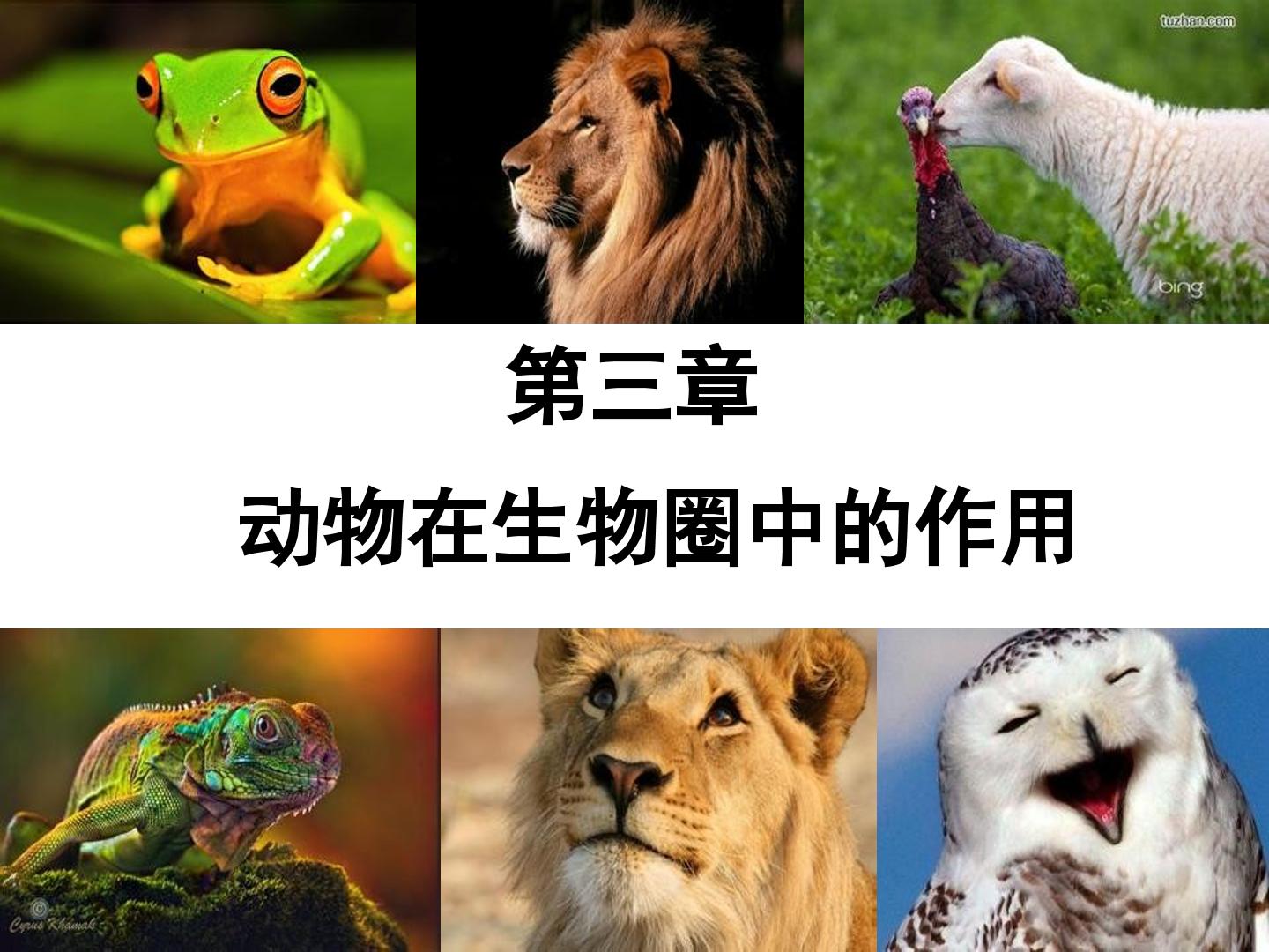 动物在生物圈中的作用