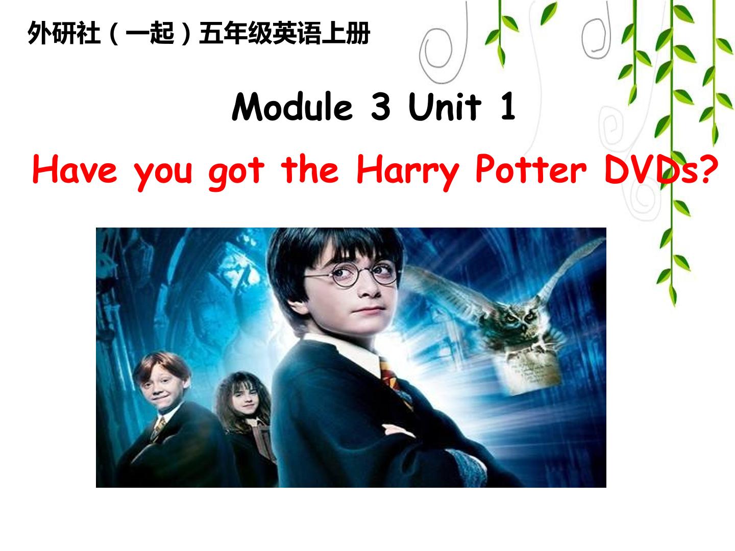 M3U1 Have you got theHarry Potter DVDs?