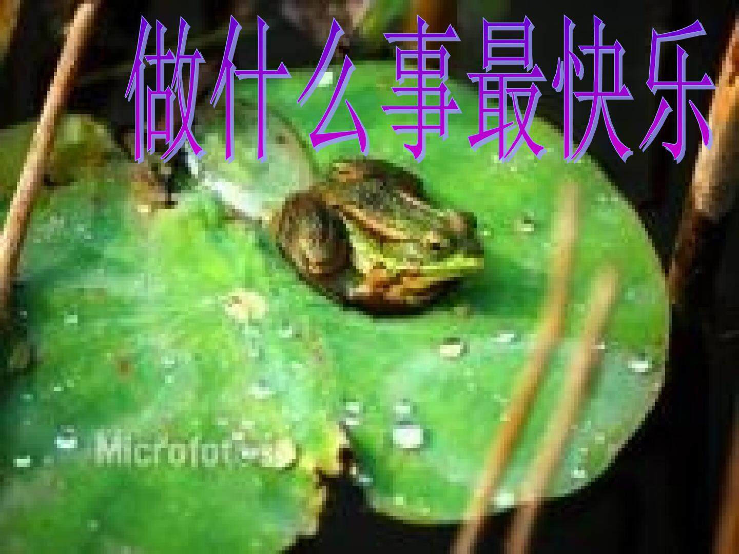 做什么事最快乐