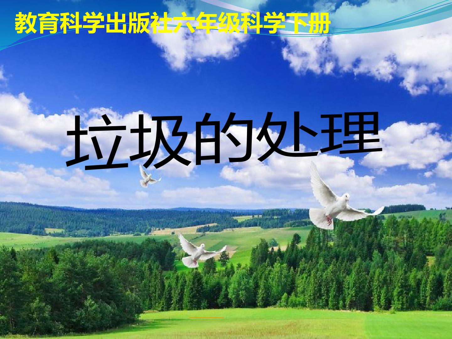 垃圾的处理