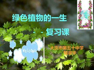 绿色植物的一生