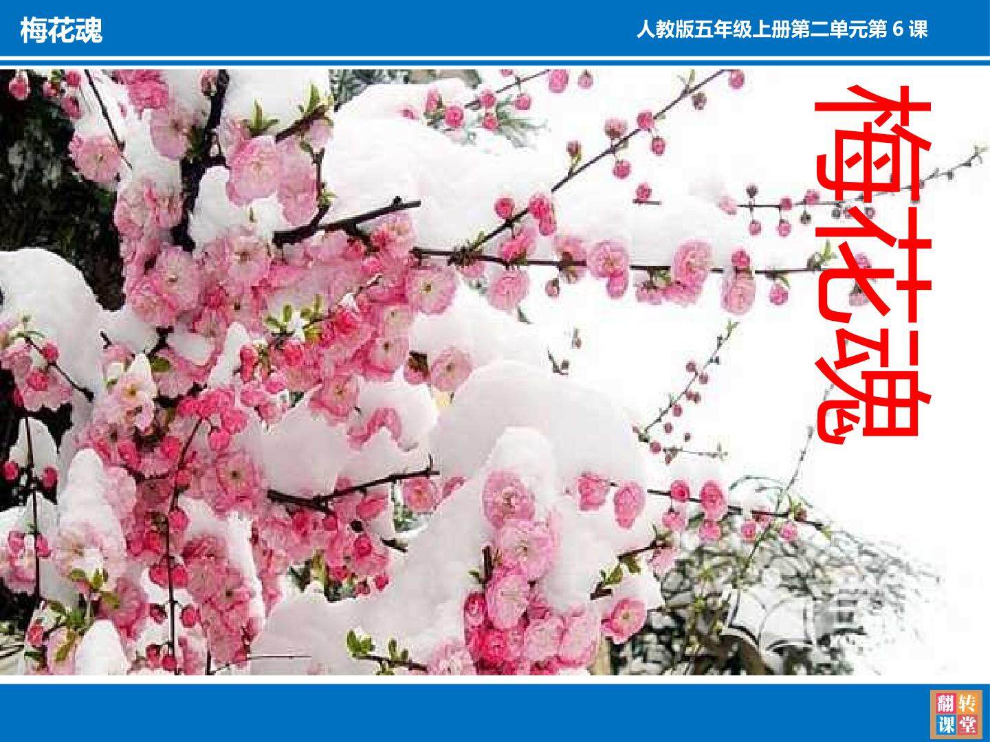 梅花魂课件