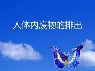 人体内废液的排出