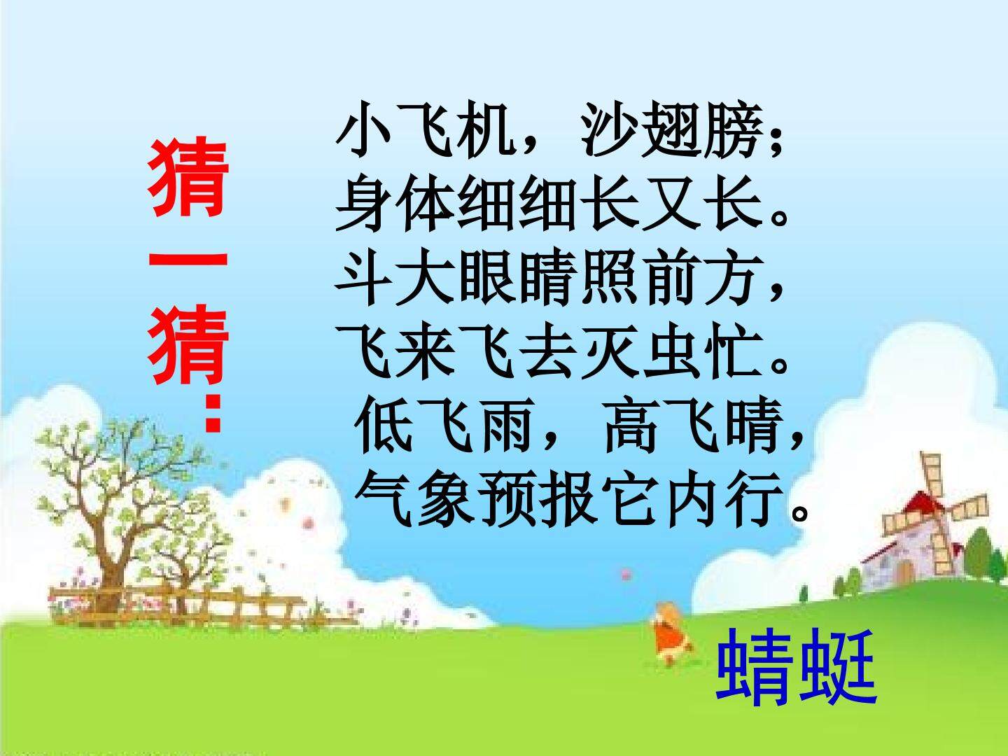 蜻蜓飞飞