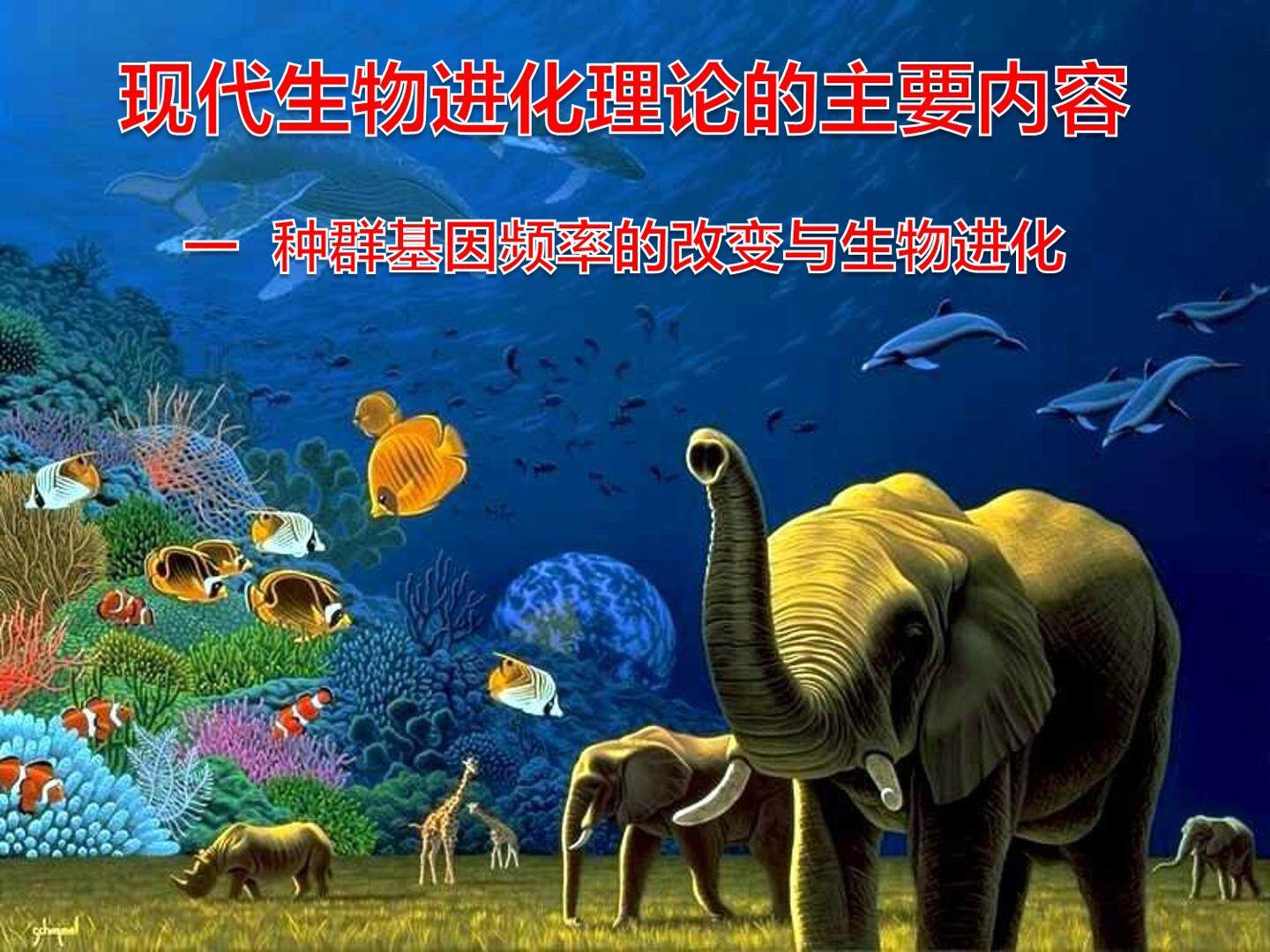 现代生物进化理论1-天一中学曹睿