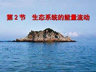 《生态系统的能量流动》PPT