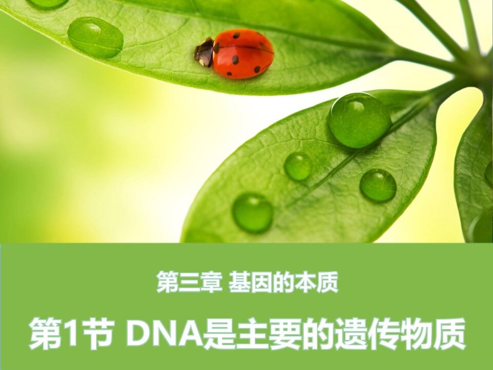 DNA是主要的遗传物质