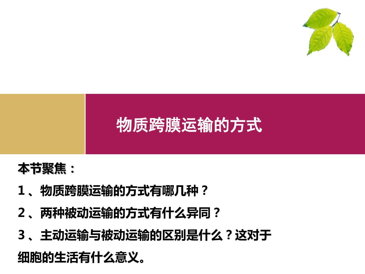 物质跨膜运输的方式