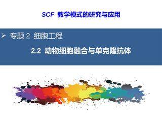 动物细胞融合与单克隆抗体(选修3 专题2 细胞工程)