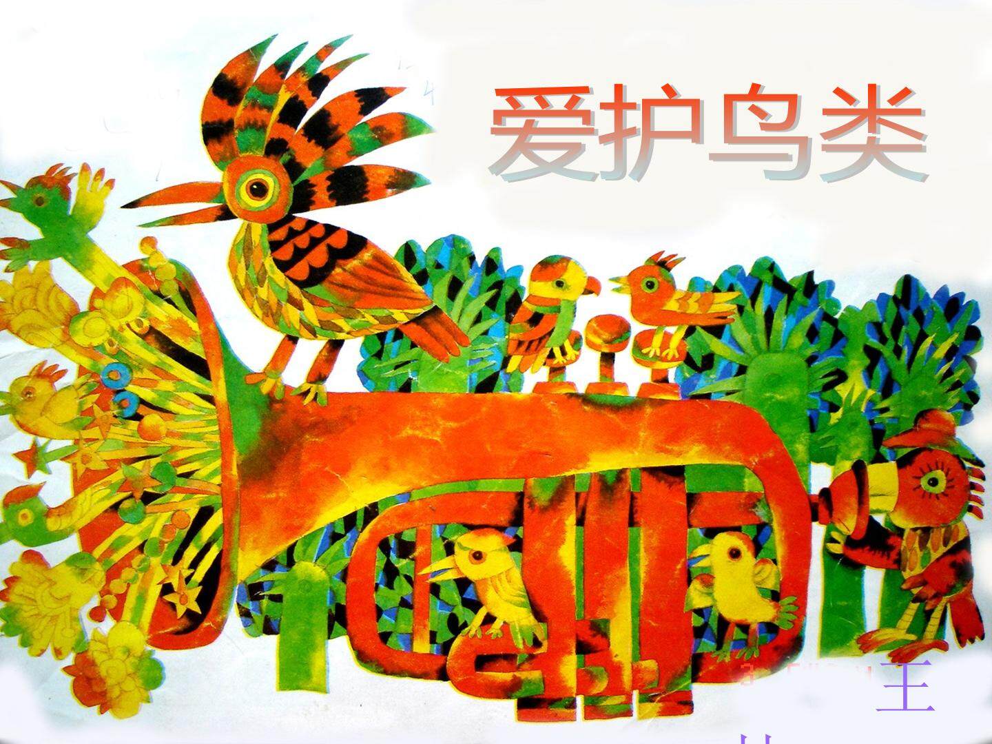 爱护鸟类