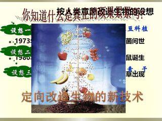 基因工程基本工具