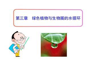 第三章绿色植物与生物圈的水循环