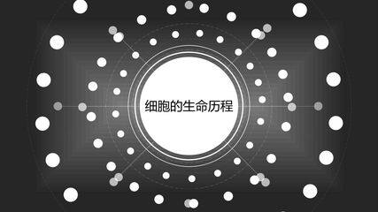 6.1细胞的癌变