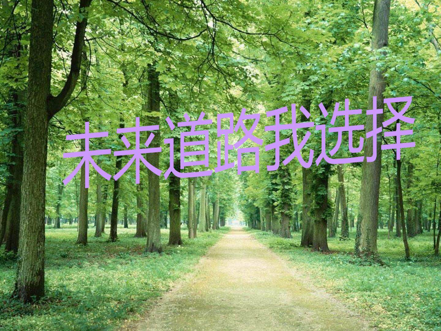 未来道路我选择