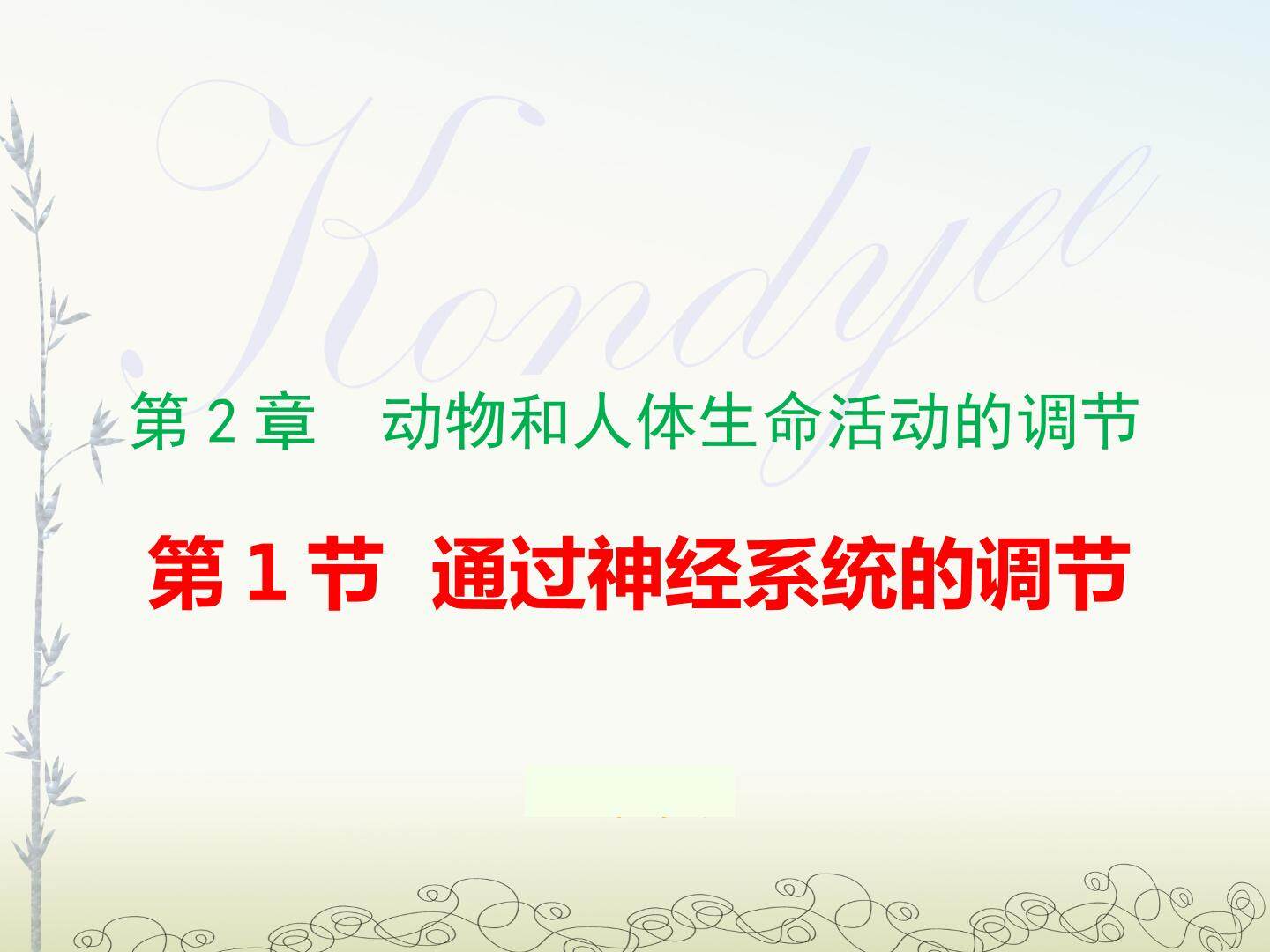 必修3 第2章 第一节 通过神经系统调节 课件