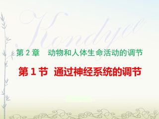 必修3 第2章 第一节 通过神经系统调节 课件