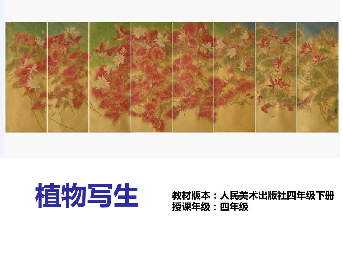 植物写生