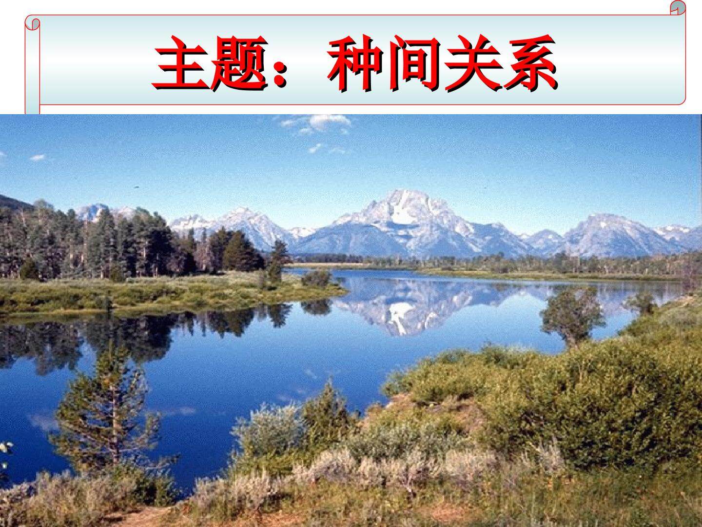 种间关系