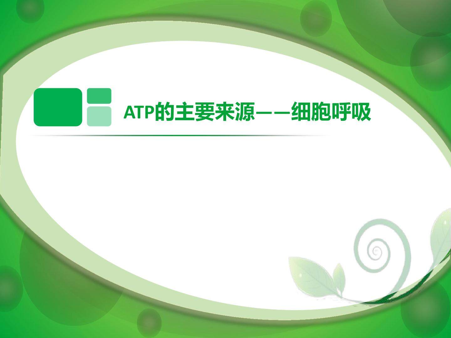 ATP的主要来源----细胞呼吸