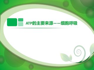 ATP的主要来源----细胞呼吸