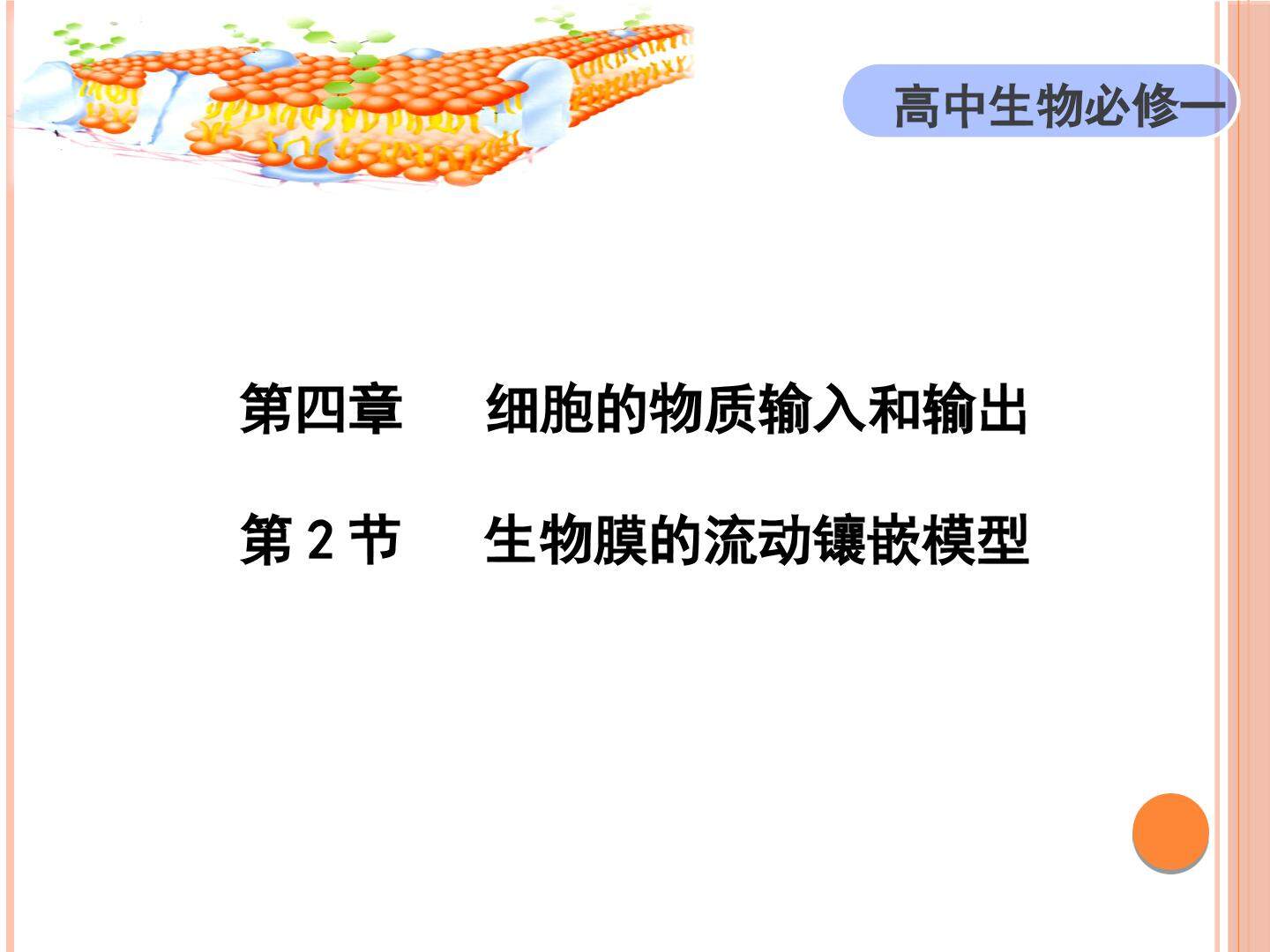 生物膜的流动镶嵌模型