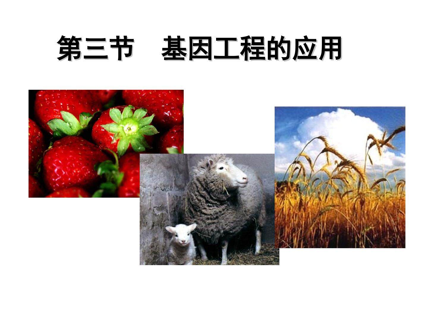 基因工程应用