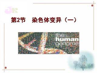 染色体变异(第一课时)
