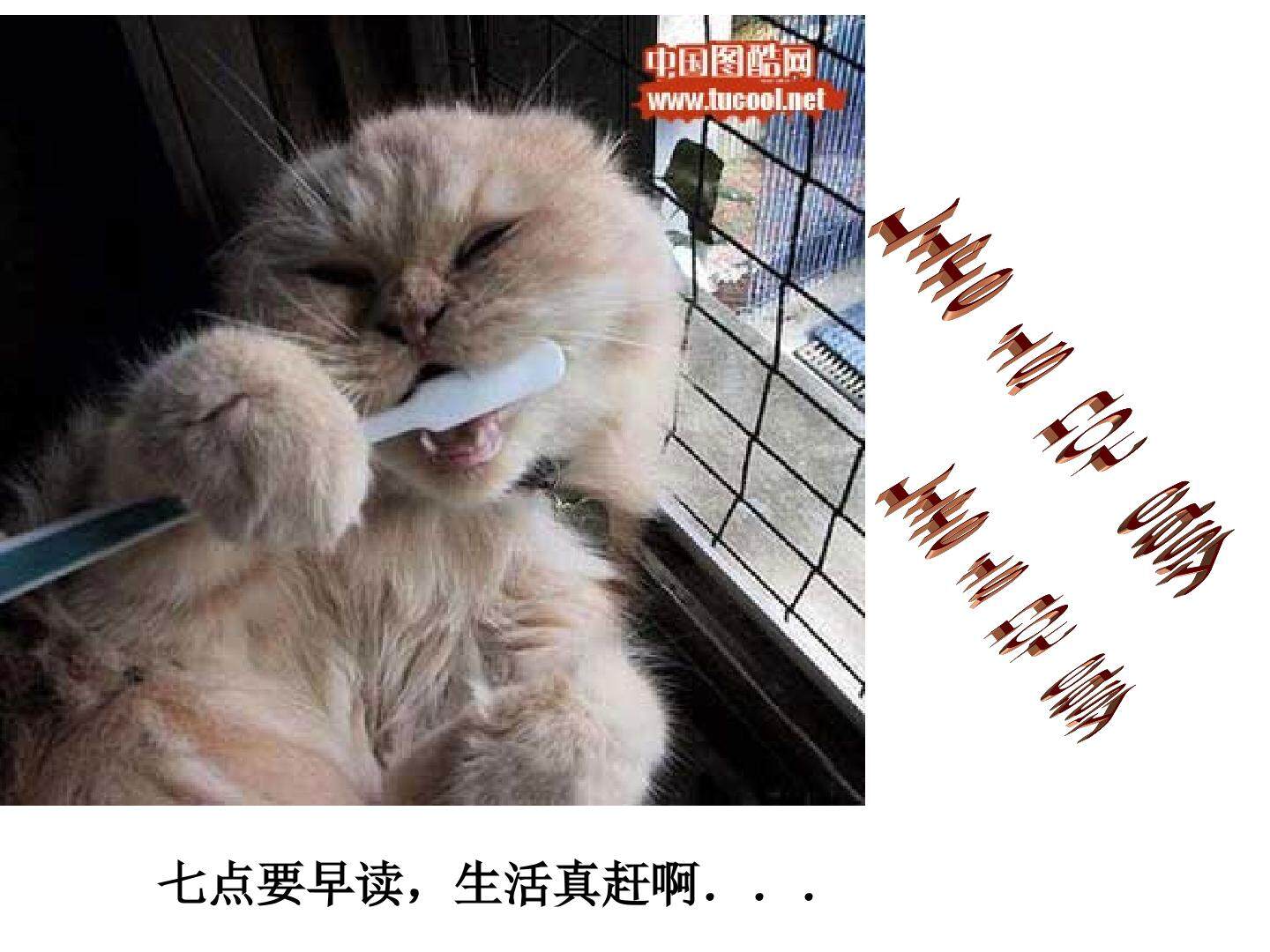 unit3 A taste of English humor