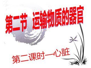 第二单元第二章第二节 运输物质的器官 第二课时 心脏