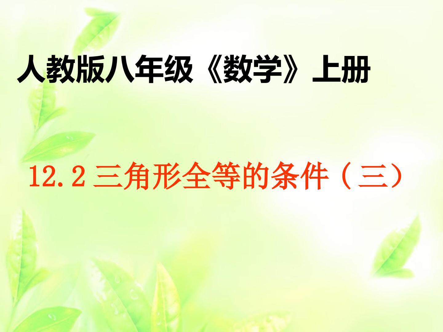 12.2 三角形全等的条件(3)