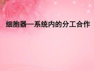 细胞器--系统内的分工合作