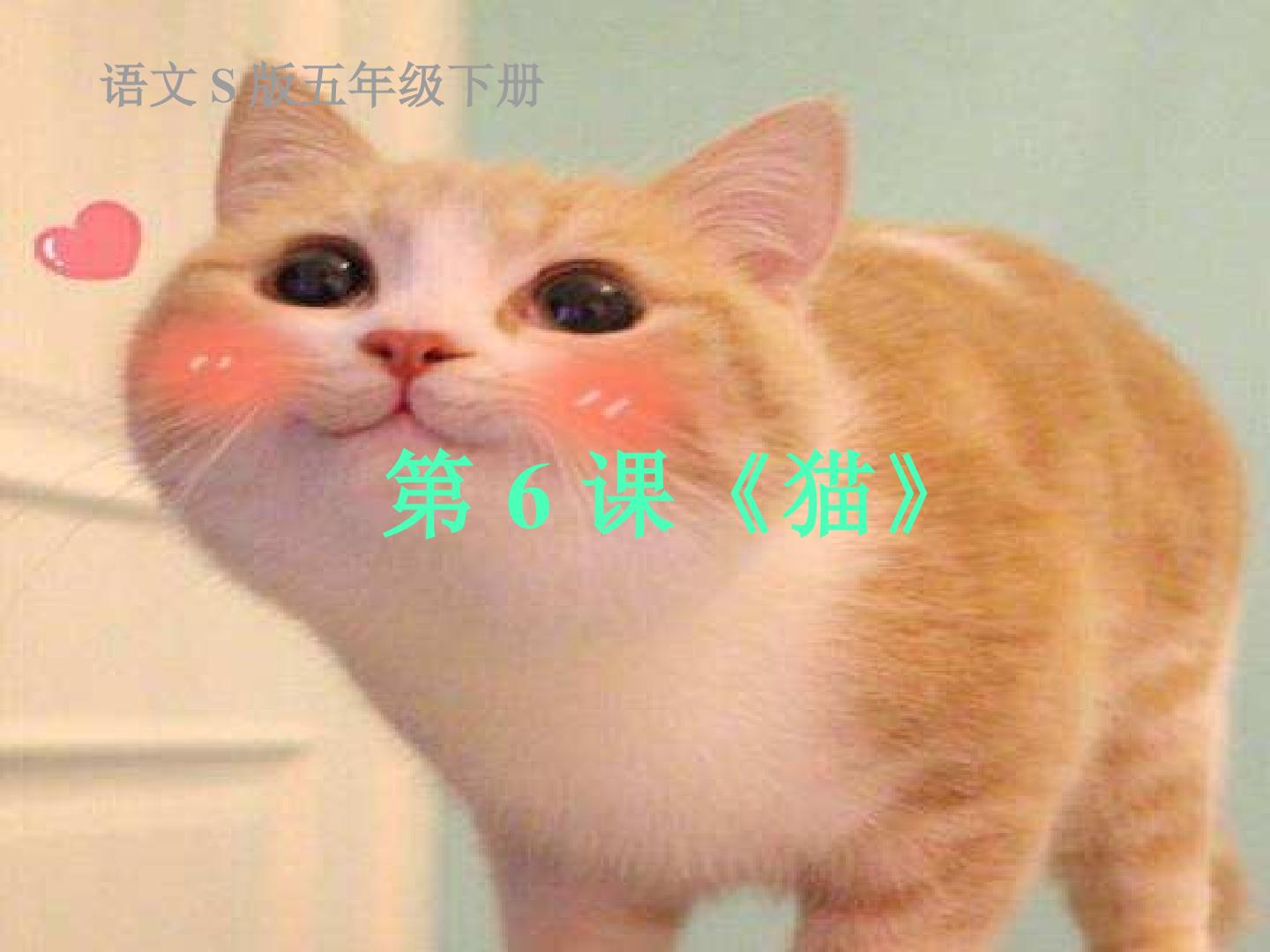 《猫》