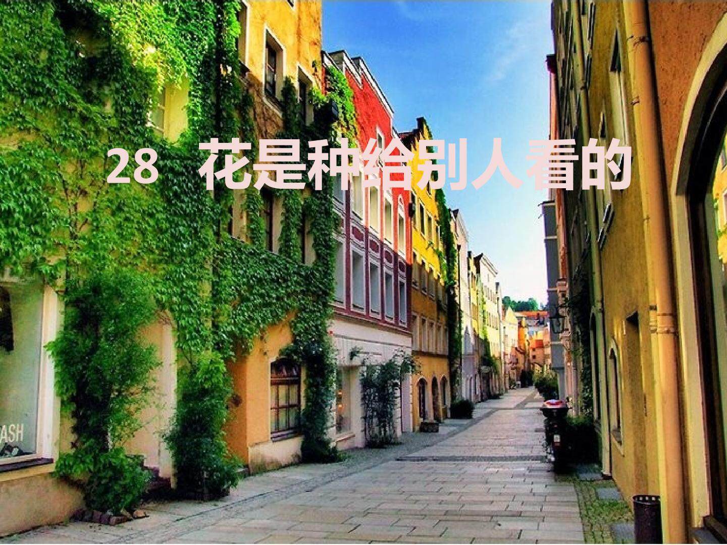 25自己的花是让别人看的