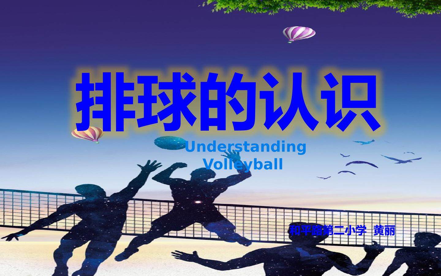 排球的认识